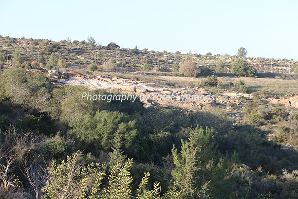 Mishkafayim 2013 Q1 Development Jan13-10