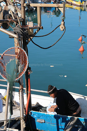 Jaffa Fishing Port