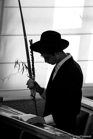 Holding the Four Species 191020-3