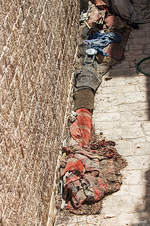 Ancient Covered Timbers 250731-2