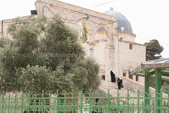 Temple Mount 140605 June 2014