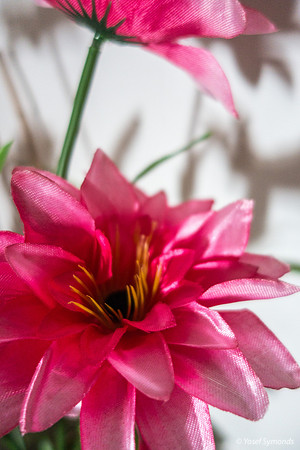 Pink Plastic Flowers 2