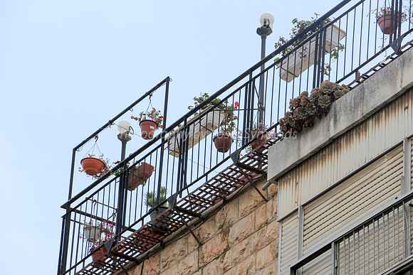 Pot Plants Hanging from Railing 3