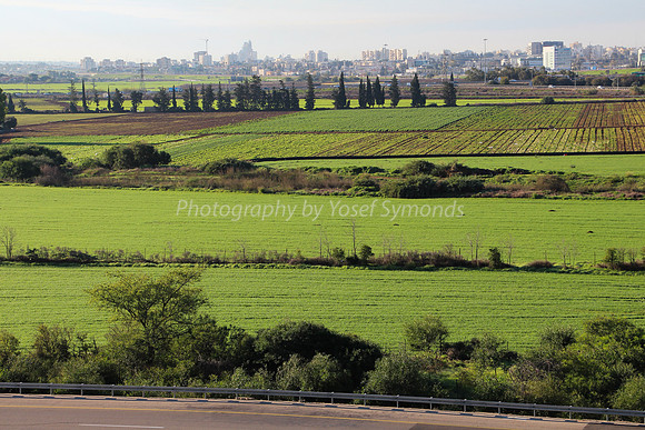 Agricultural Land Opposite Airport City 2