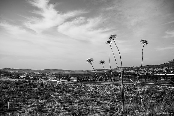 Looking South-West Kibbutz Tzora on Right 191121-1