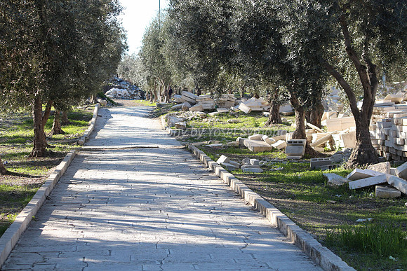 140209-HarHabayit-9892