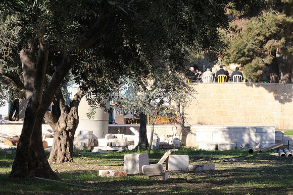 140209-HarHabayit-9882