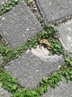Cracks 181203-1