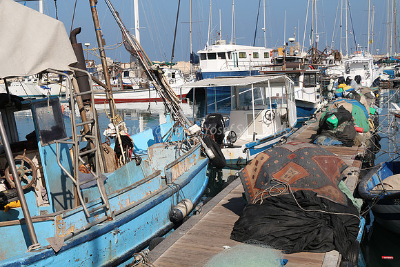 Jaffa Fishing Port