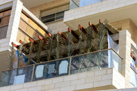 Upright Sukkah 2