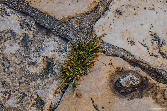 Cracks 191007-1