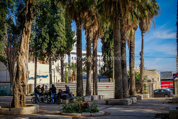 Ramle Park 5
