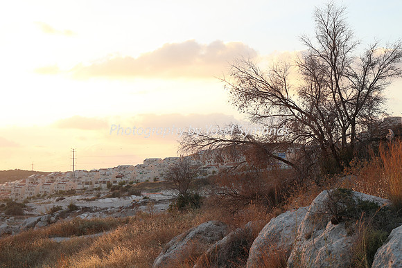 Mem 3 2014 Q3 Sunset on Ramat Shilo 8047