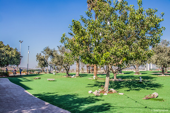 Zar Grounds 180927-18