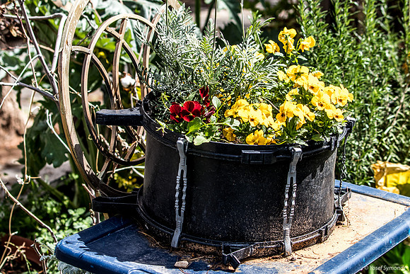 Flower Stew 250313-1