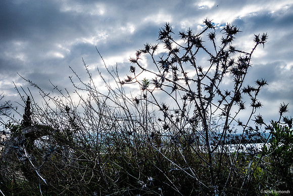 Overcast Skies 200226-3