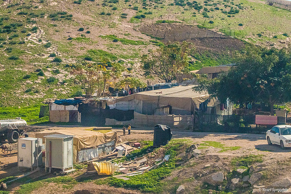 Bedouin Encampments 230111-24