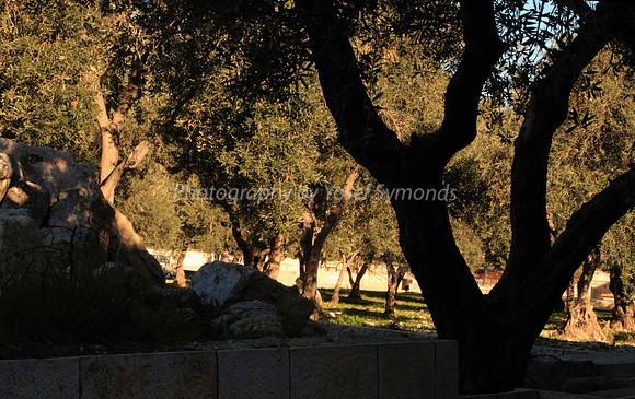 140209-HarHabayit-9858A