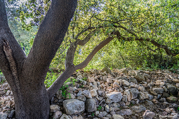 Givat ha Yekavim 3
