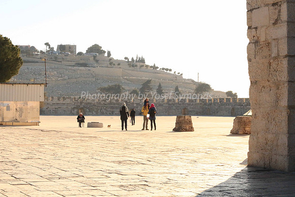 140209-HarHabayit-9769