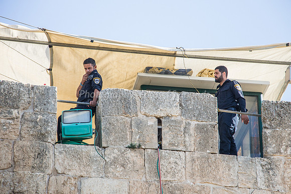 Policeman Watching from Ramparts 1