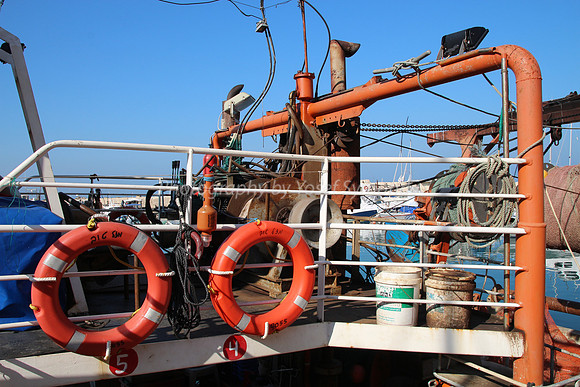 Jaffa Fishing Port