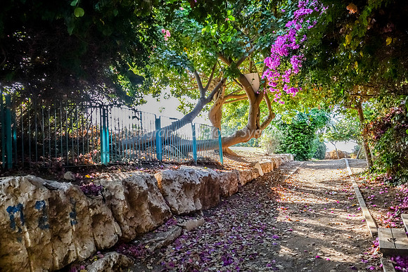 Petalled Lane RBSA - 5