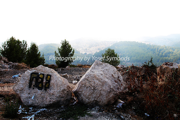 Mishkafayim 2014 Q3 7978A