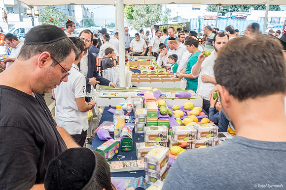 Etrog Market 191013-1