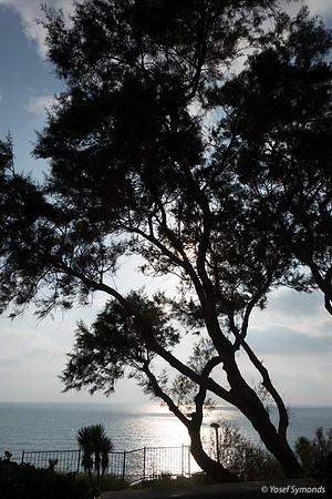 Seascape from Shaked Tayelet 190804-18