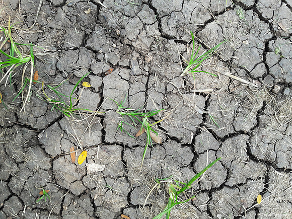 Cracks 190909-3
