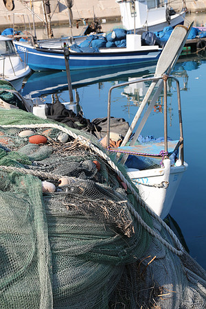 Jaffa Fishing Port