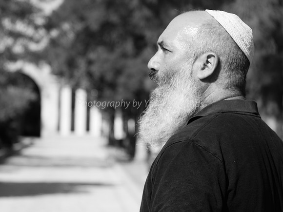 Contemplation 3