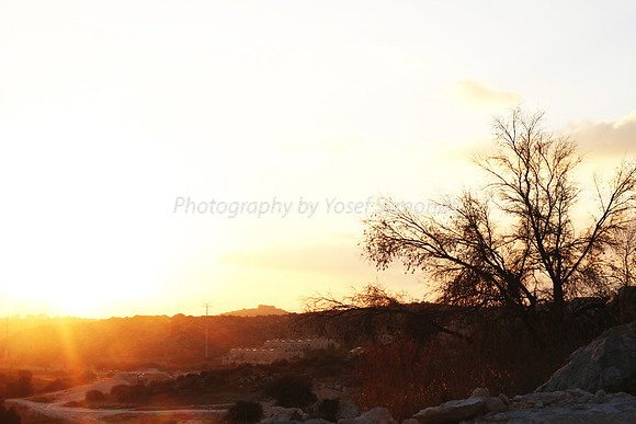 Mem 3 2014 Q3 Sunset on Ramat Shilo 8044A