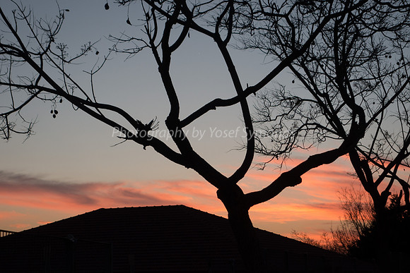 Sunset on Maor