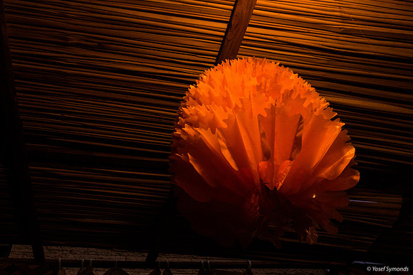 Red Sukkah Decoration 191017-3