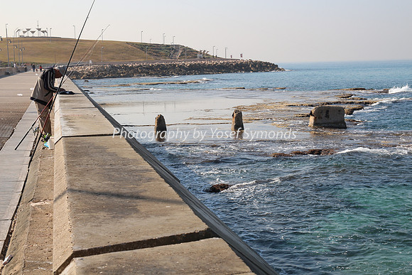 Jaffa Fishing Port