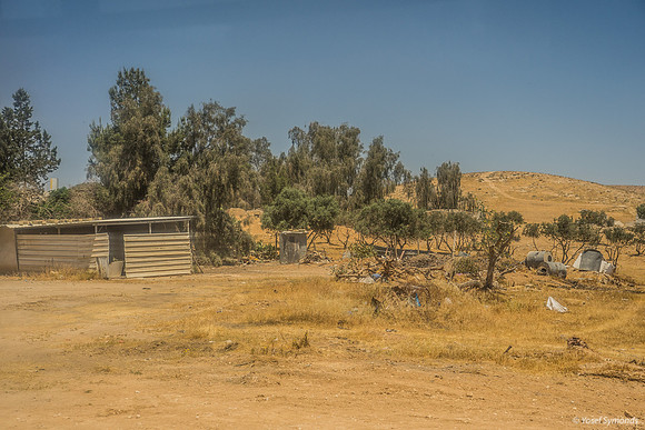 DSC09483