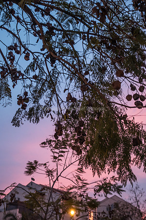 Sunset on Maor 4