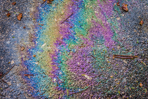 Rainbow That Fell to Ground 181228-2
