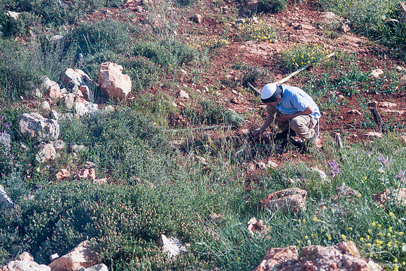 Examining the Earth