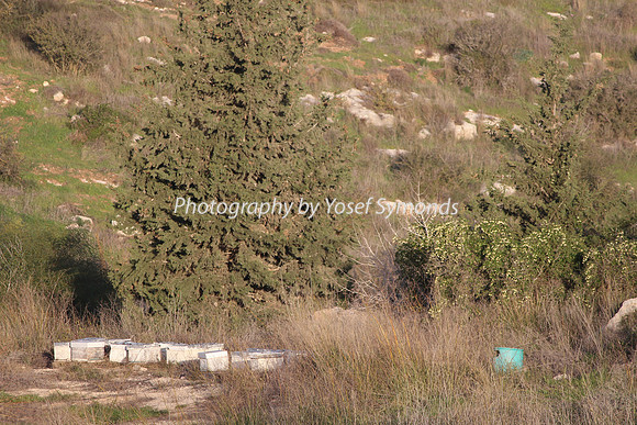Mishkafayim 2013 Q1 Development Jan13-9