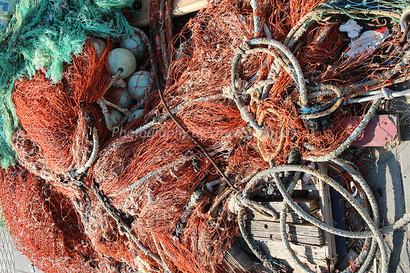 Jaffa Fishing Port