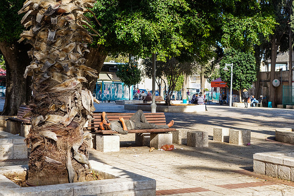 Ramle Park 7