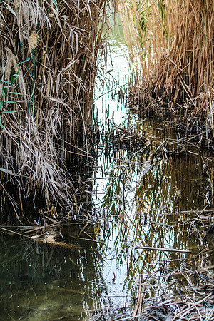 Edge of Lake Anita 1