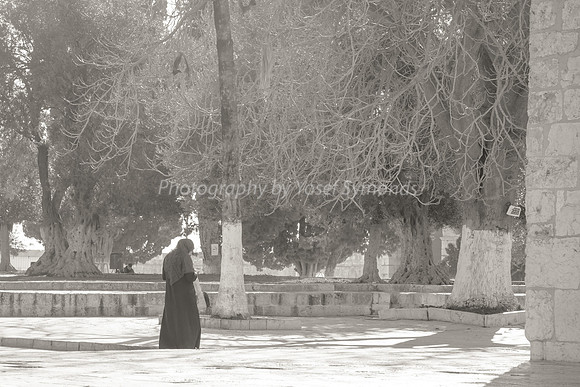 Arab Lady Walking Across Area with Tablet 190212-1