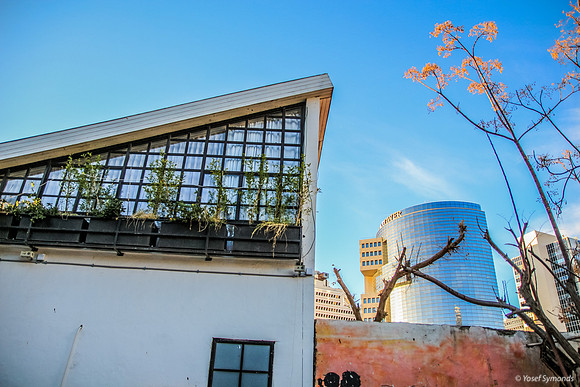 Shabazi Street 140107-9042