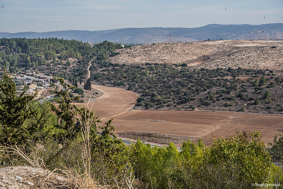 Elah Valley Looking North 191121-4