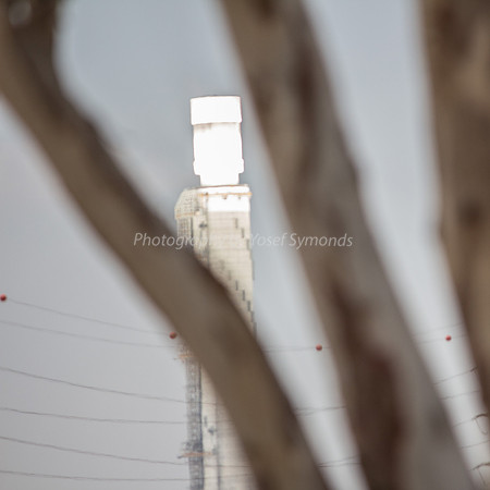 Bright Light of Ashalaim Behind Tree 180601-4