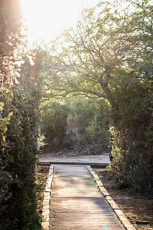 Path on Lake Edge